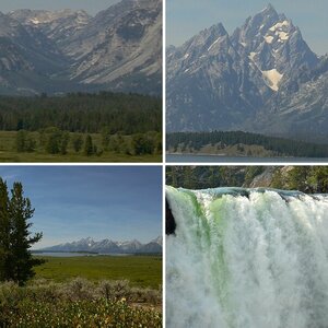 Yellowstone und Grand Teton