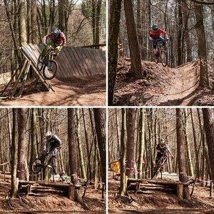 Downhill/Freeride