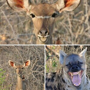 Namibia
