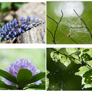 Frühling