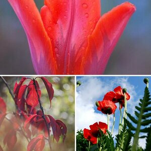 Naturfotografie