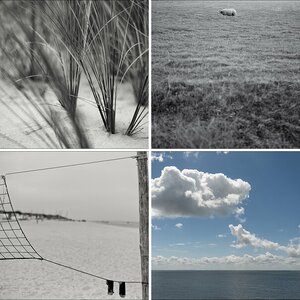 Texel 3