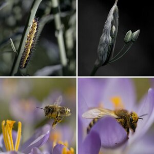 Frühling