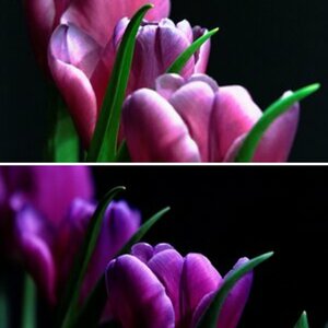 blüten low key