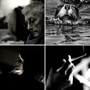 Sonstiges II