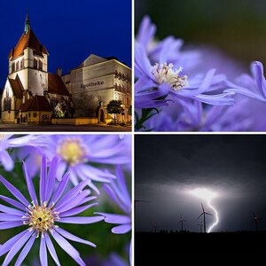 Meine Bilder