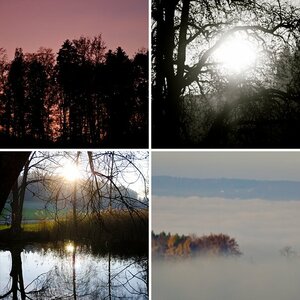 Natur pur