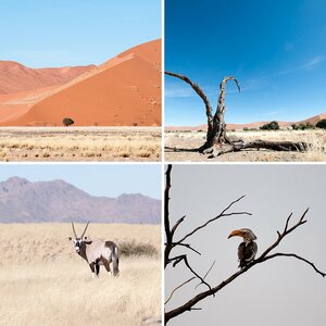 Namibia 2012-1