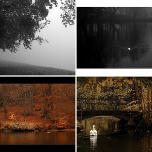 Herbst