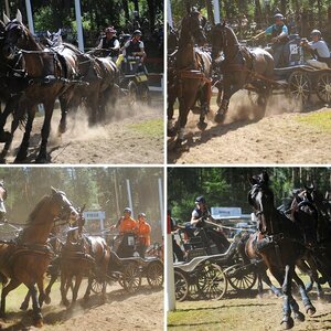 Riesenbeck 2012