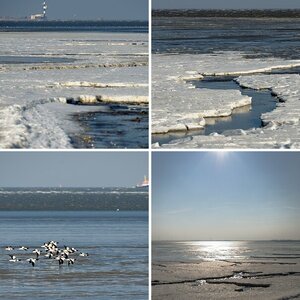 Wattenmeer im Winter