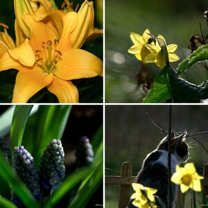 Frühling by Avarra - Nikon D90