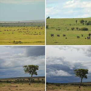 Kenia, Oktober 2011 Teil 2