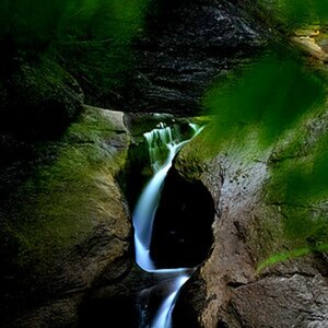 Natur