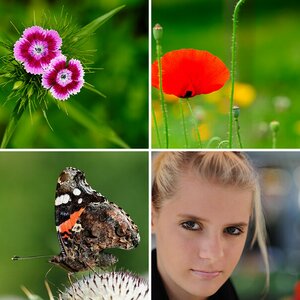 Erstes