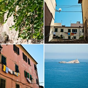 Elba Fotosafari mit Stefano Levi