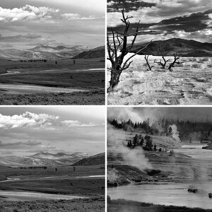 Yellowstone s/w