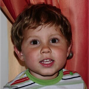 Potrait