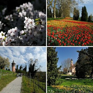 Insel Mainau NF-F Treffen 16.04.2011