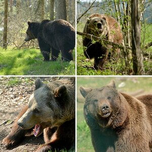 Die Anfänge in der Naturfotografie