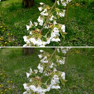 Erste Bilder