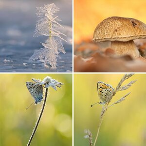 Natur