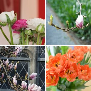 Bilder DirkAC71