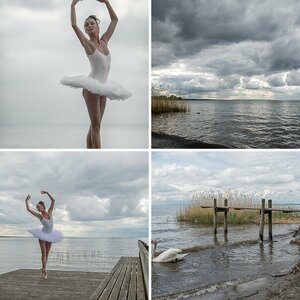 Shooting