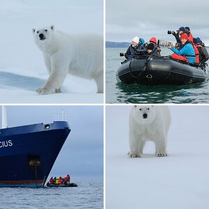 Fotoreisen Spitzbergen 2012 & 2013