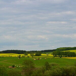 Landschaft und Natur
