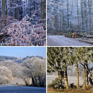 Feld, Wald und Flur, Silvester 17, Säugetiere