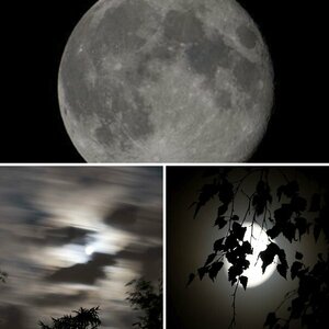 Mond .....