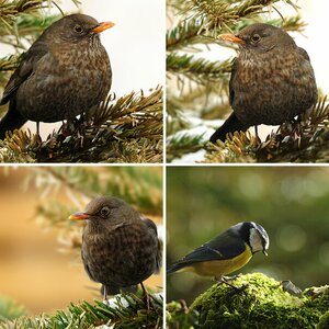 Mein Winteransitz 2011_2012_2013