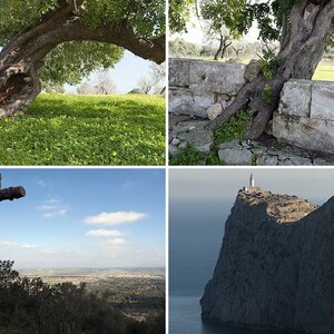 Wanderbares Mallorca IV