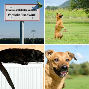 Esgaroth Bilder 6