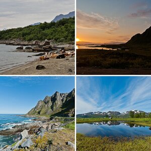 NordNorwegen - Die Lofoten II