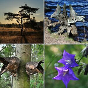 Natur