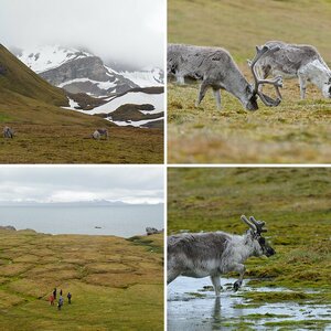 Spitzbergen V