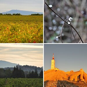 provence