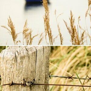 Ostsee