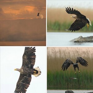 Usedom Mai 2013
