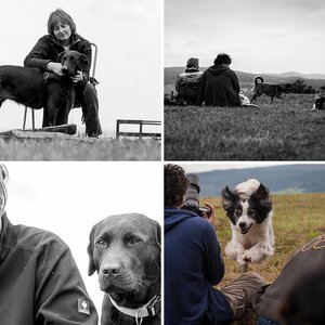 Rund um's Hundetreffen