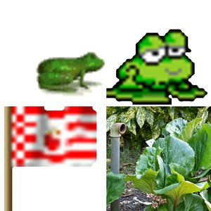 1800 alte Fotos