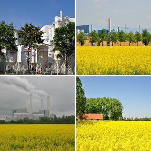 Planzen, Blumen und Landschaft