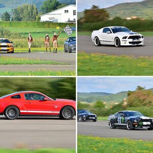 Shelby GT500