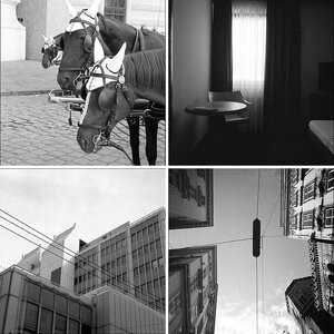 Wien 2011