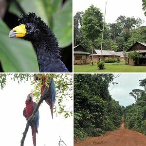 Guyana 2