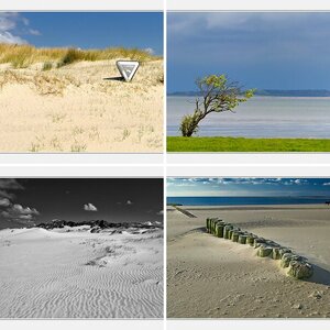 Amrum