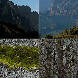 La Palma 2013