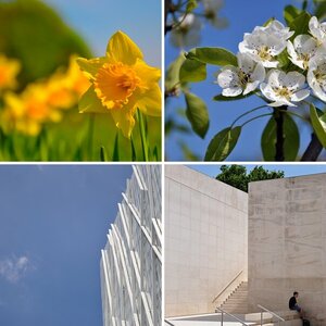 erste Bilder